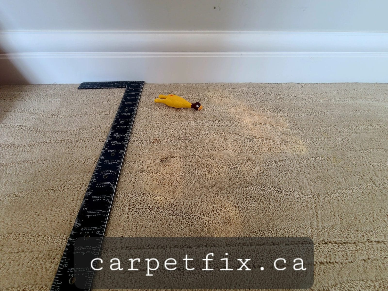 multiple bleached spots on the carpet, noticed just before the house goes up on sale