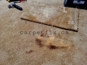 burned carpet repairs