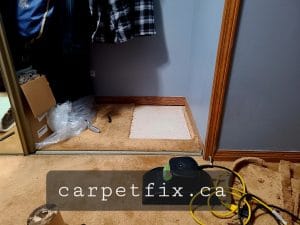 burned carpet repairs by taking the donor piece from a closet