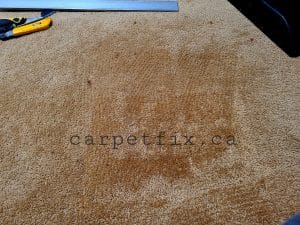 burned carpet repairs by taking the donor piece from a closet and seen the end result