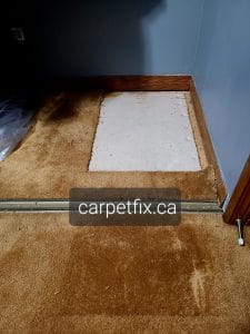 burned carpet repairs by taking the donor piece from a closet in action