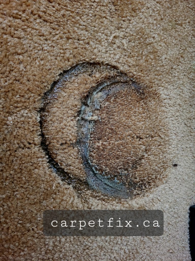 hot pot belongs to a restaurant not on the carpet
