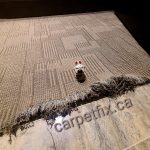 Dog ripped carpet at doorway entrance to home theater room