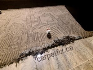 Dog ripped carpet at doorway entrance to home theater room