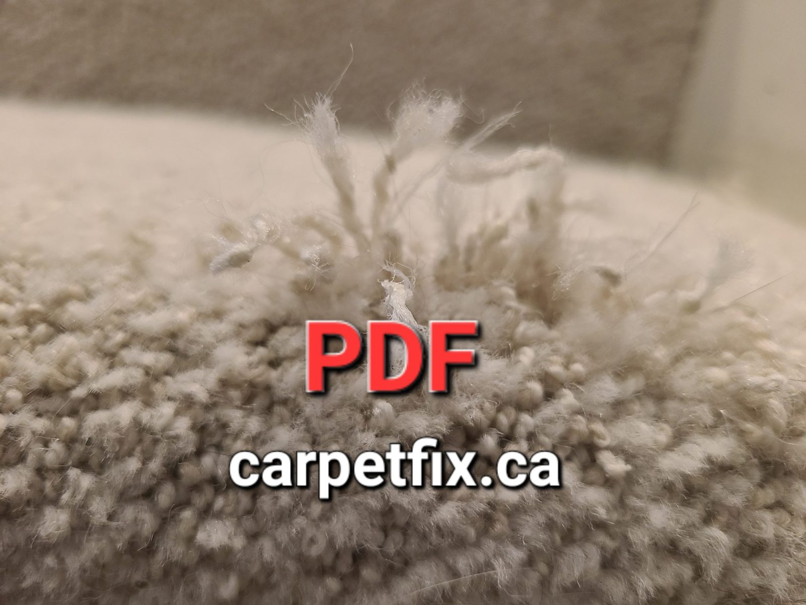 Carpet Repair Checklist for Realtors Before Listing a Home