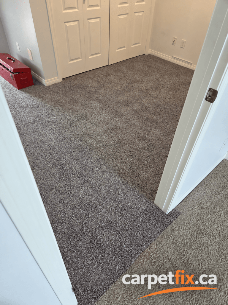 Severe pet urine damaged this Calgary carpet and underlay beyond a localized repair.
