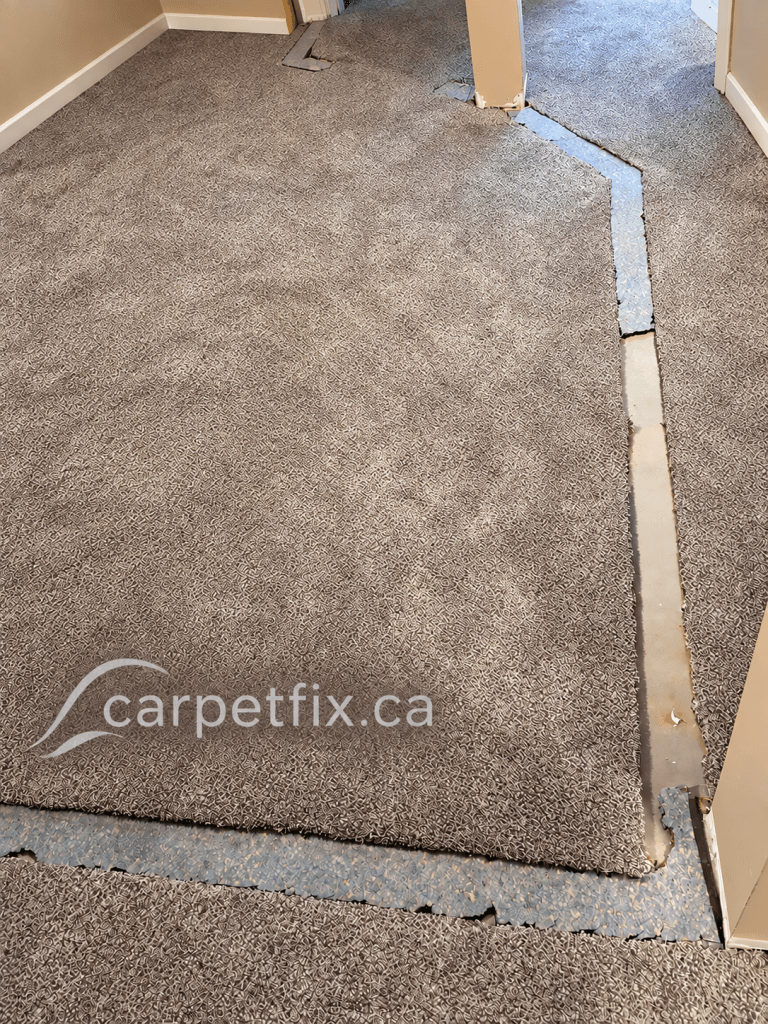 carpet gaps after wall removal, missing carpet, doorway changes, damaged seams, carpet transitions, underlay replacement, carpet patching and carpet stretching.