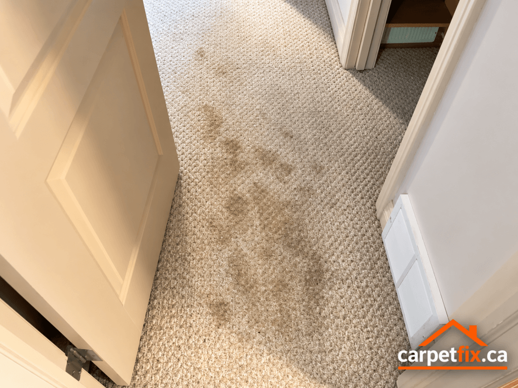 heavy stains on carpet