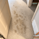 heavy stains on carpet