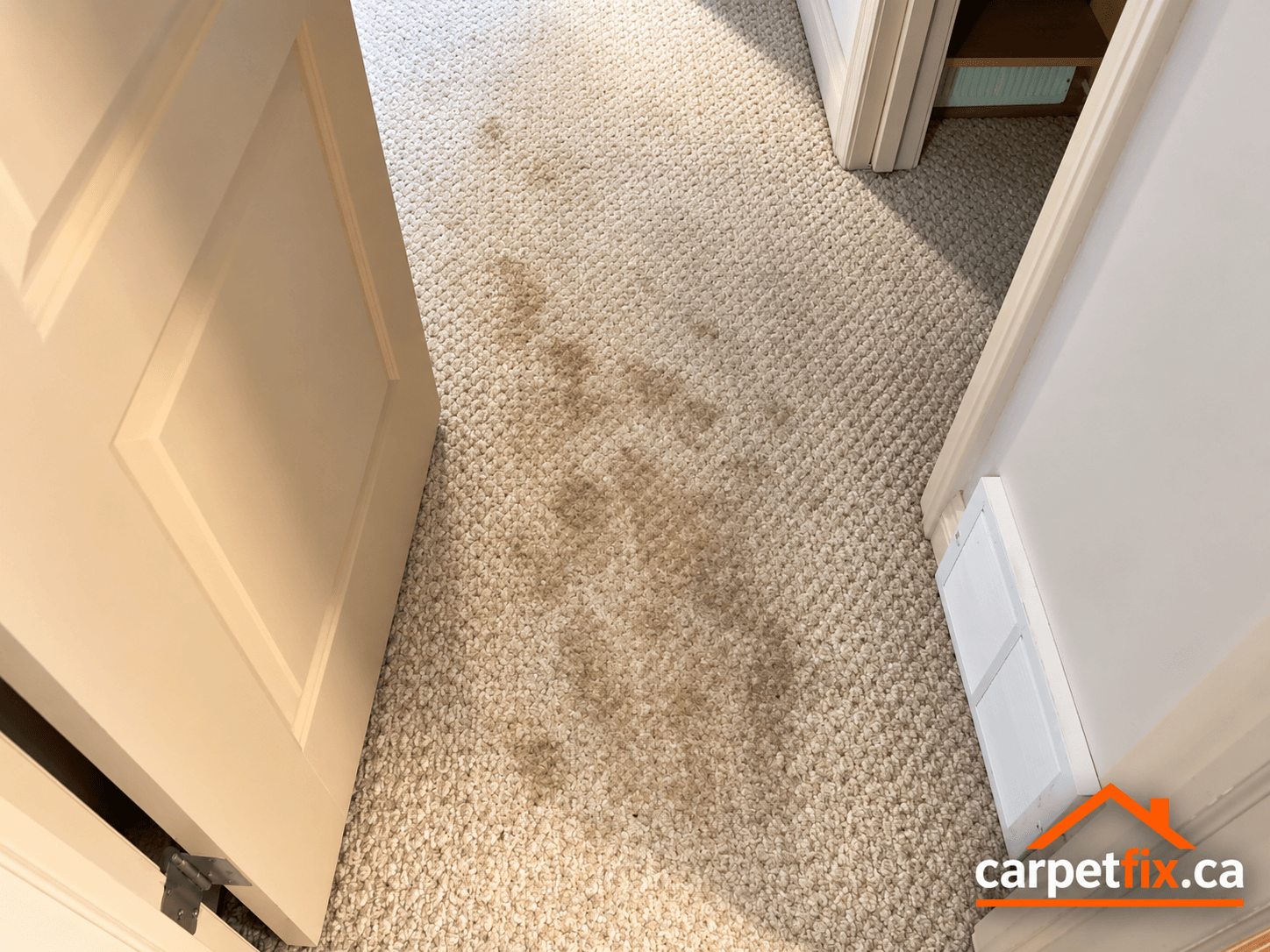 heavy stains on carpet