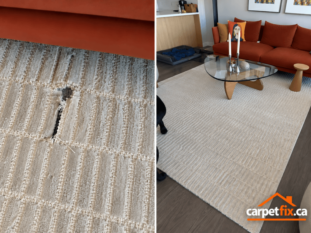 Dog chewed area rug with damaged carpet fibres in Calgary