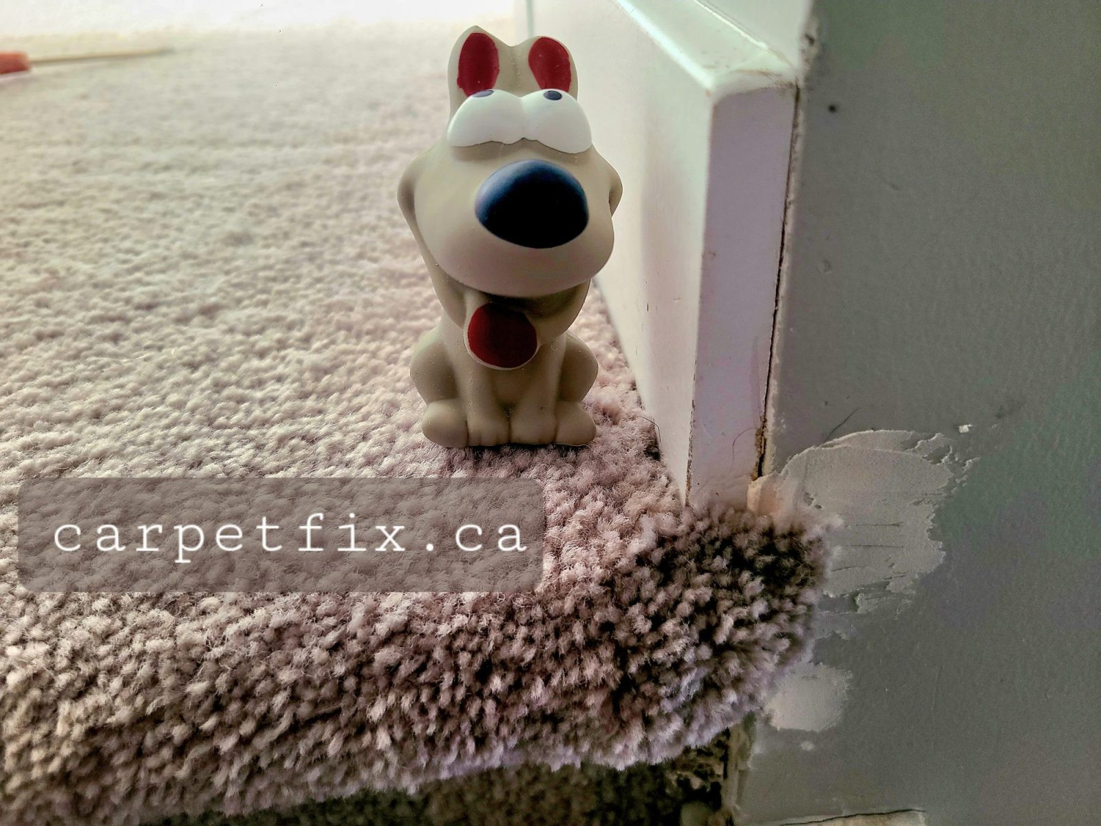 pet damage carpet repair