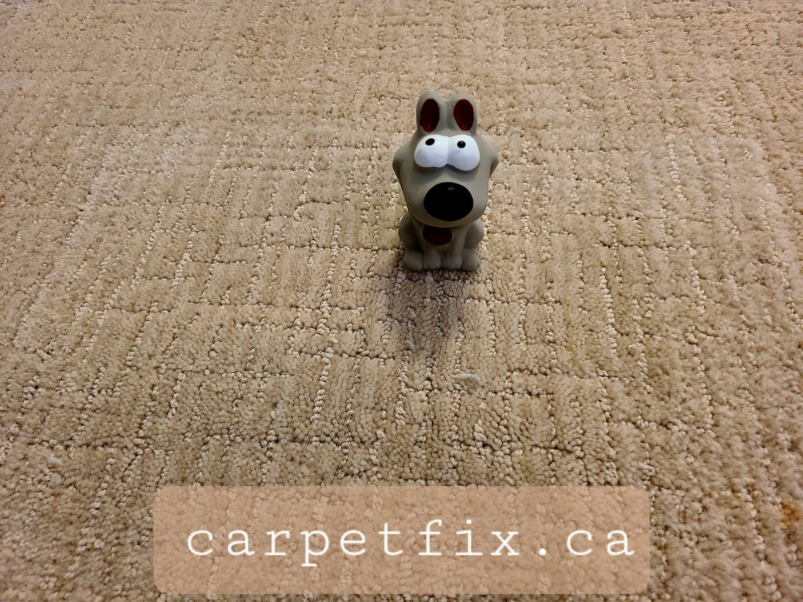 toilet cleaner spilled on the carpet