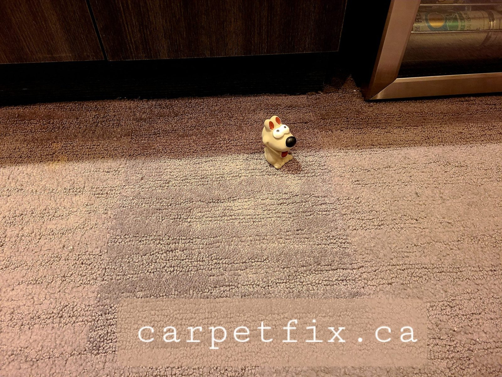 do not clean your carpet with anything bleach in it