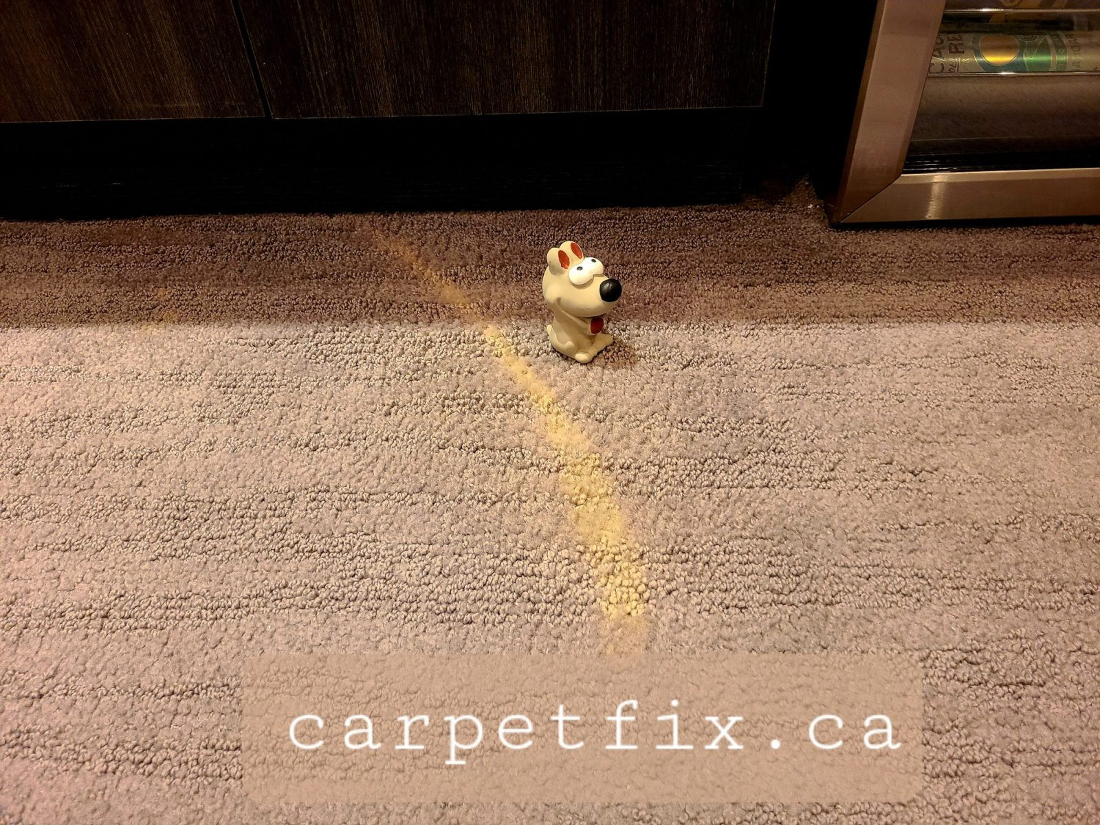 do not clean your carpet with anything bleach in it