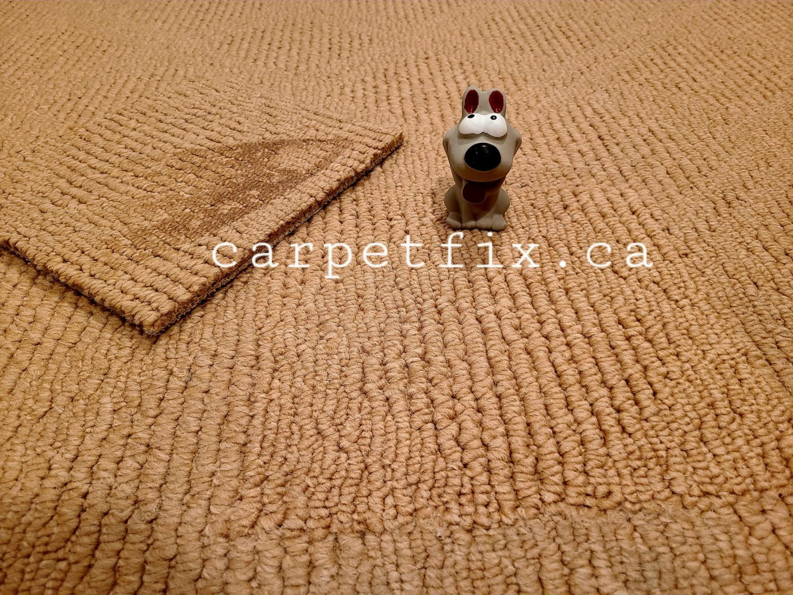Fix Scorched & Melted Carpet Without Replacement