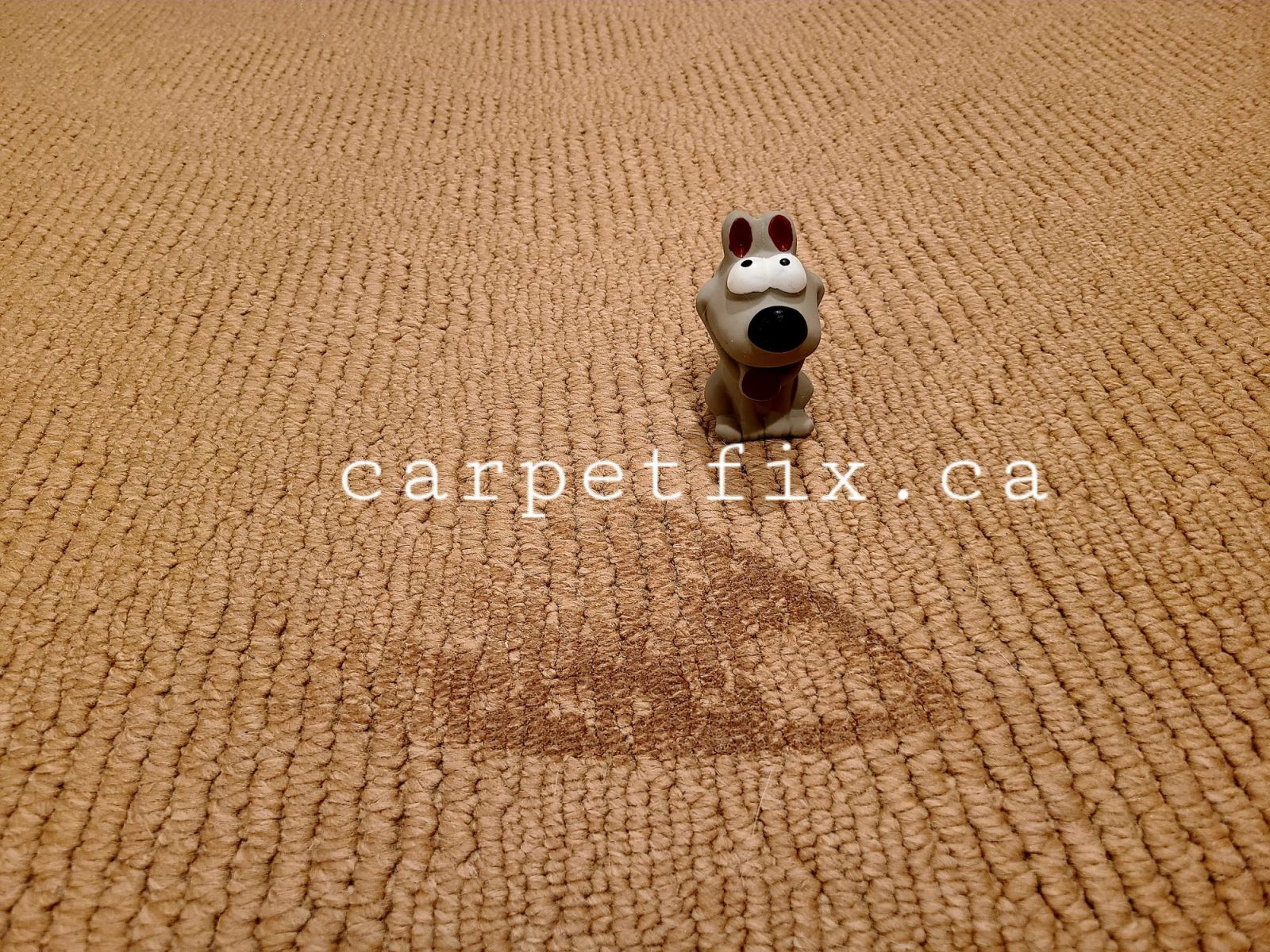 Fix Scorched & Melted Carpet Without Replacement
