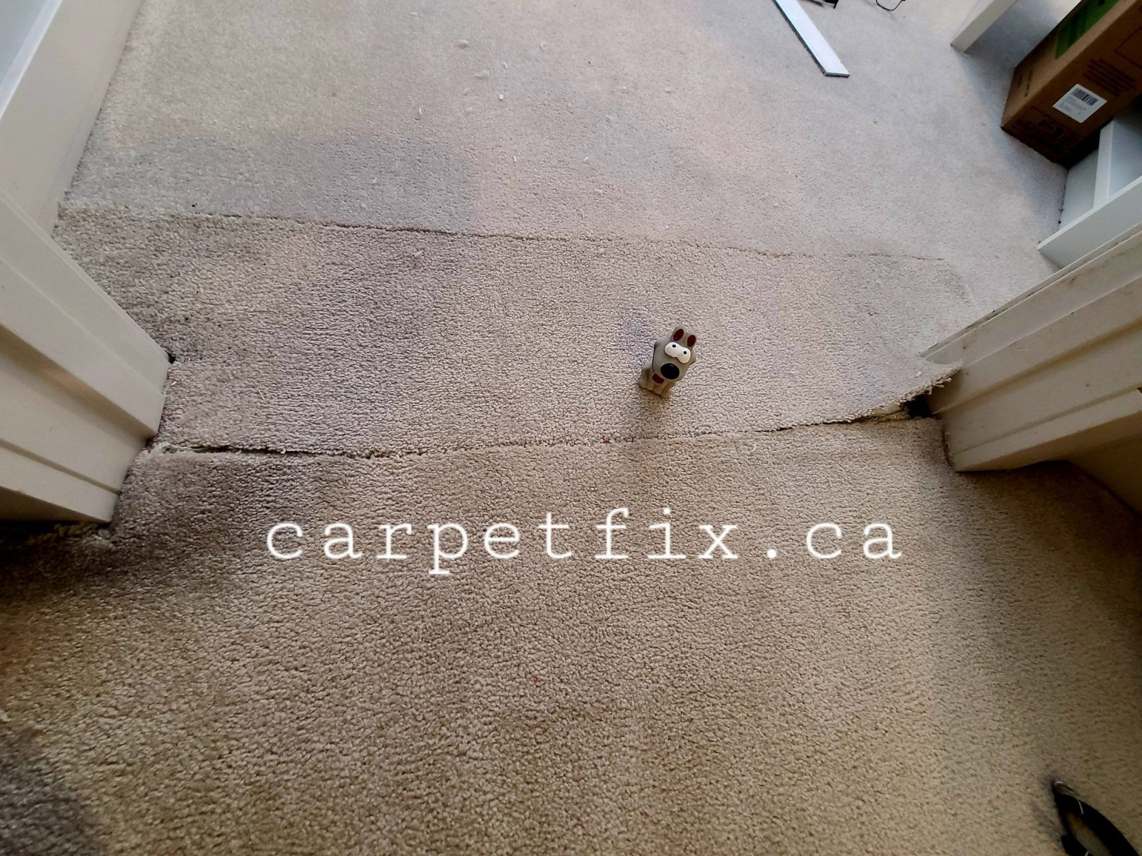 A carpenter fixes carpet