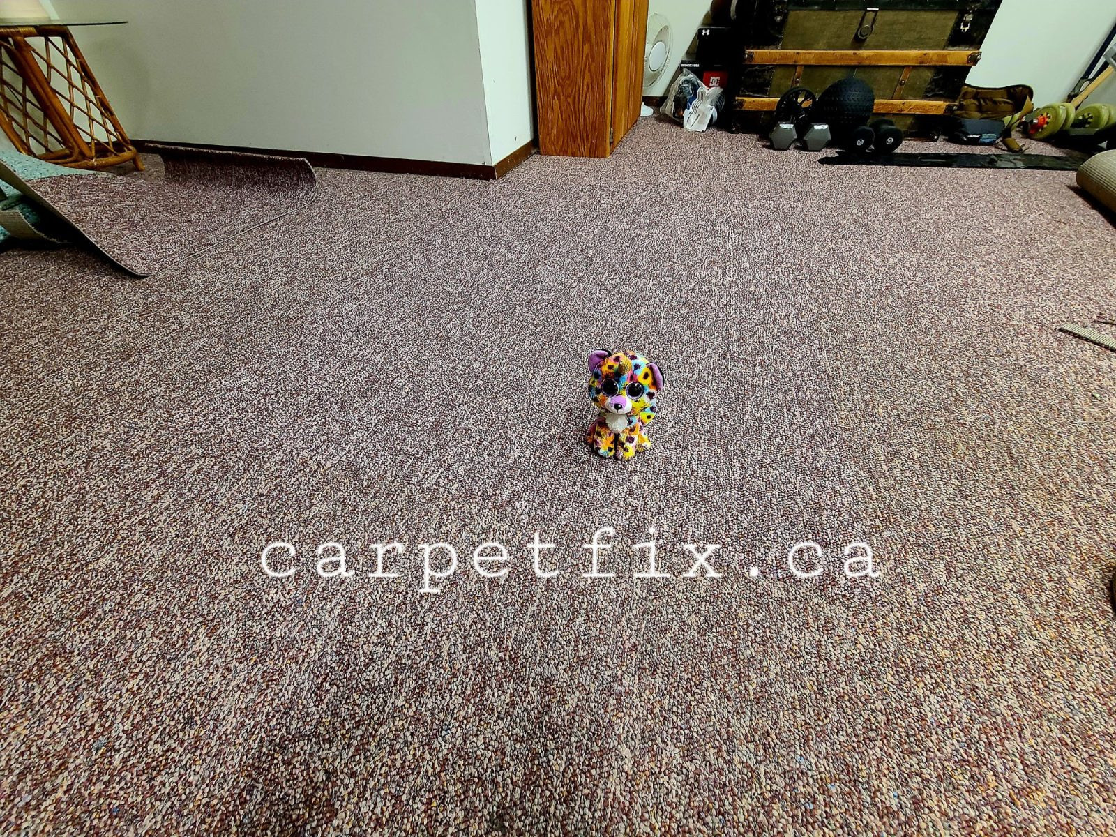 carpet repair of a house, when owner decided to cut out the area. The result is amazing
